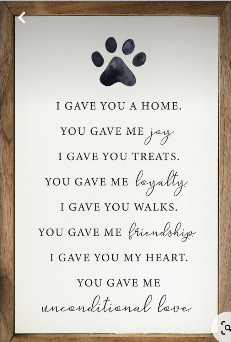 a sign with a dog's paw on it that says i gave you a home