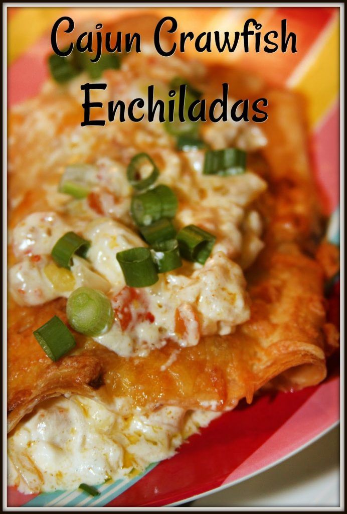 a red plate topped with cheesy enchiladas covered in cheese and green onions