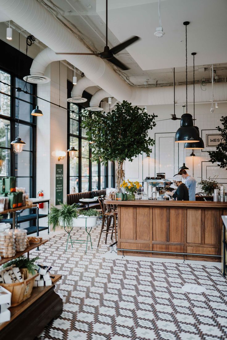 a man is sitting at the counter in a coffee shop with potted plants hanging from the ceiling