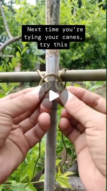 two hands holding onto a metal pole in front of some trees and bushes with the words next time you're trying your canes, try this