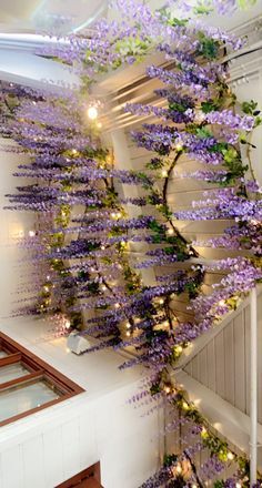 purple flowers are growing up the side of a building's staircase railing, which is decorated with string lights