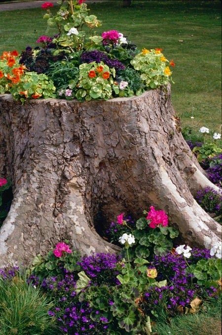 a large tree stump with flowers growing out of it's sides in a garden