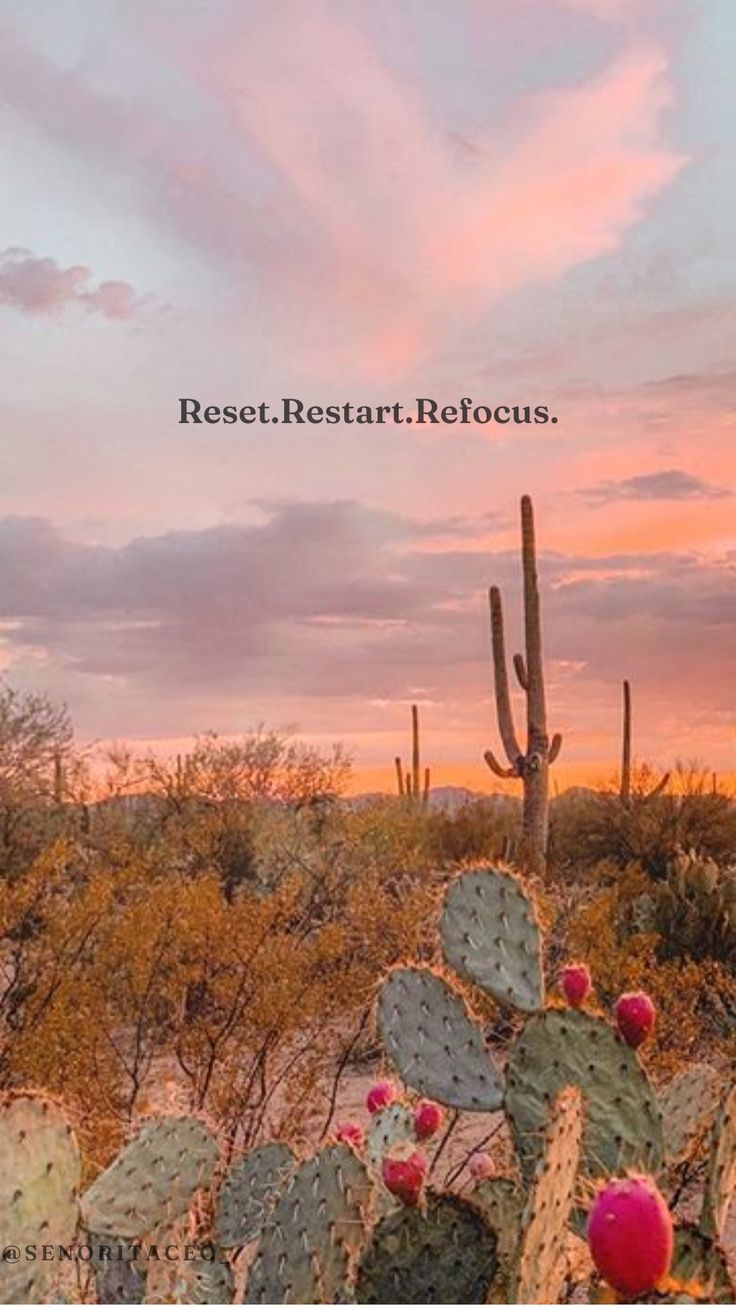 a cactus in the desert with a sunset behind it and a quote that reads rest, restart, retours