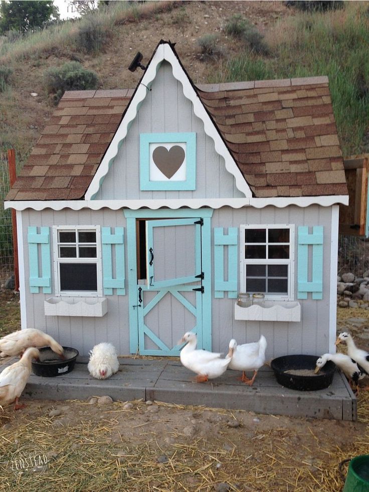 chickens and ducks in front of a small house with a heart on it's door