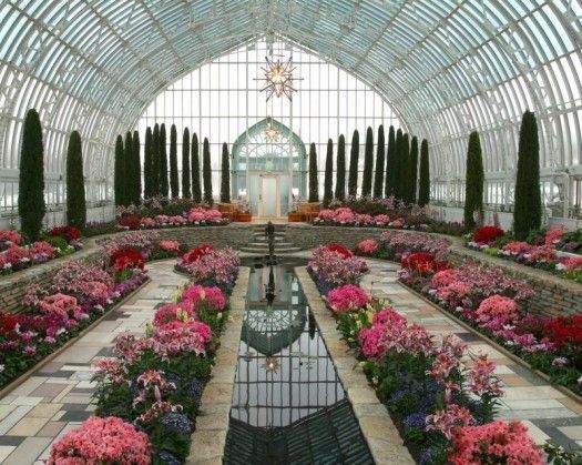 the inside of a building with lots of flowers and plants in it's center