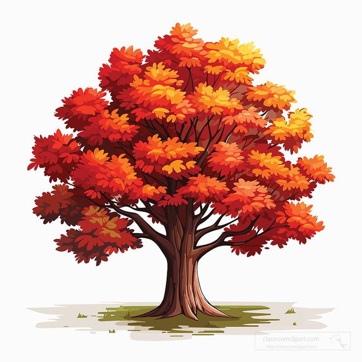 an autumn tree with red, yellow and orange leaves on it's branches is shown