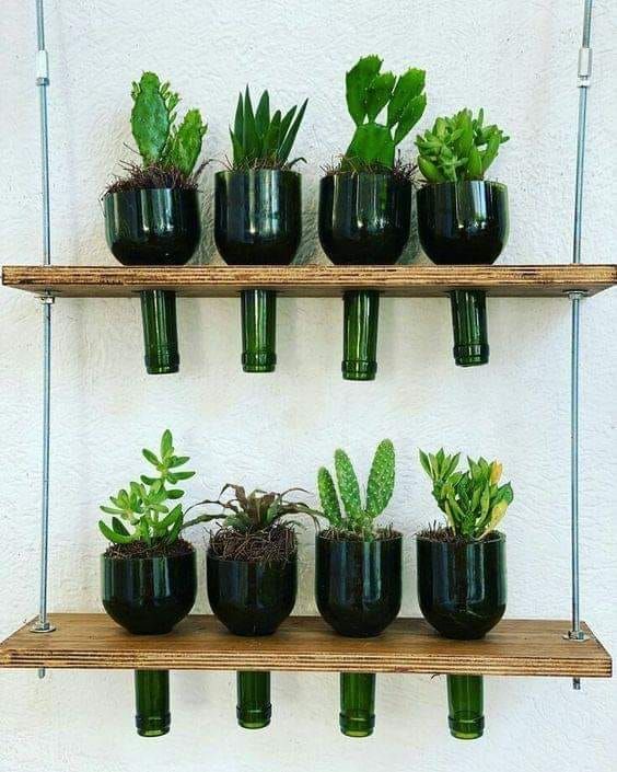 there are many plants that are in the vases on the shelf together and one is green