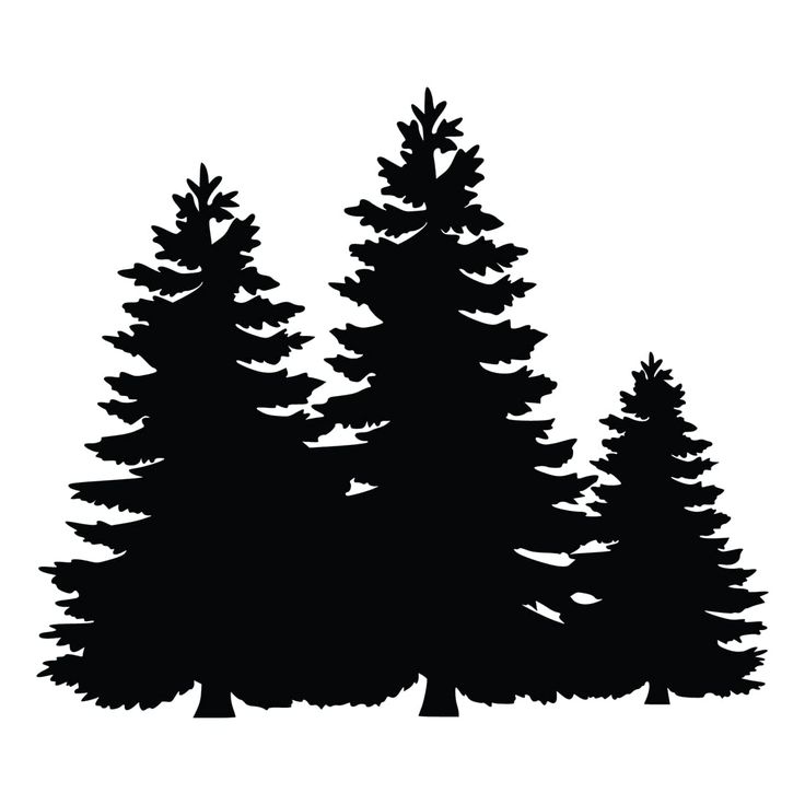 three trees silhouetted against a white background