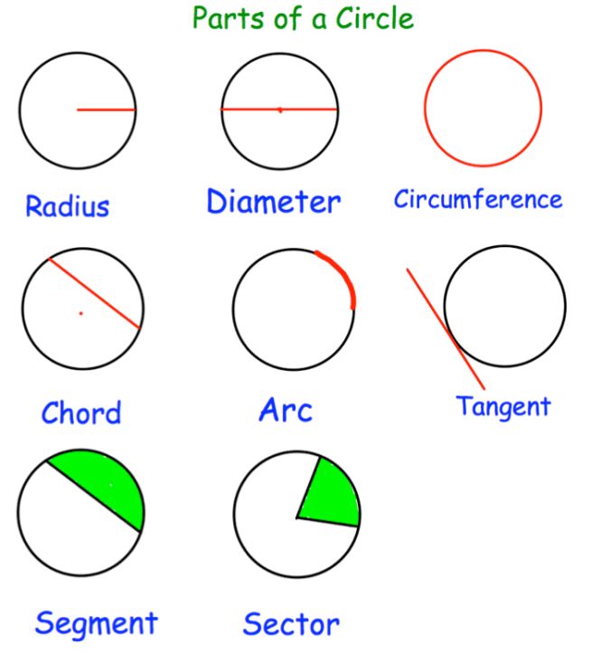 the parts of a circle with their corresponding segments