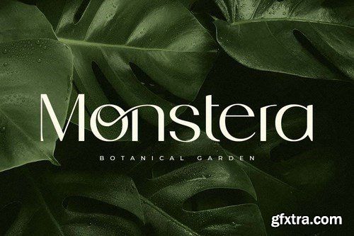 the words monstera botanical garden are surrounded by green leaves and water droplets on a black background