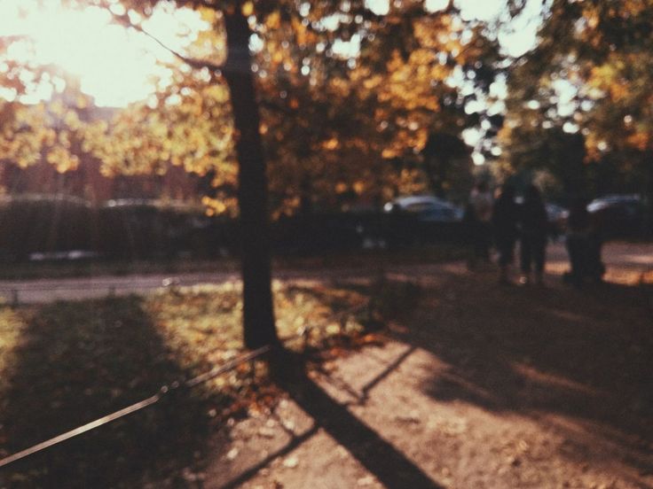 a blurry photo of people walking in the park on a sunny day with autumn leaves