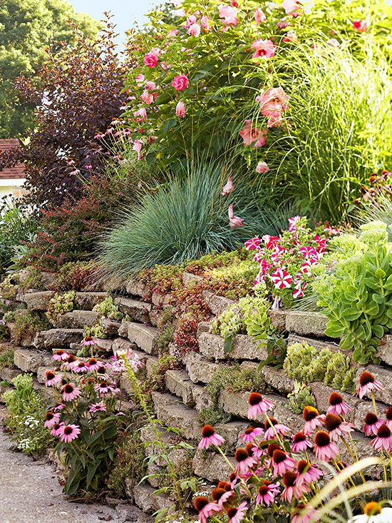 an image of a garden with flowers and plants growing on the side of the wall