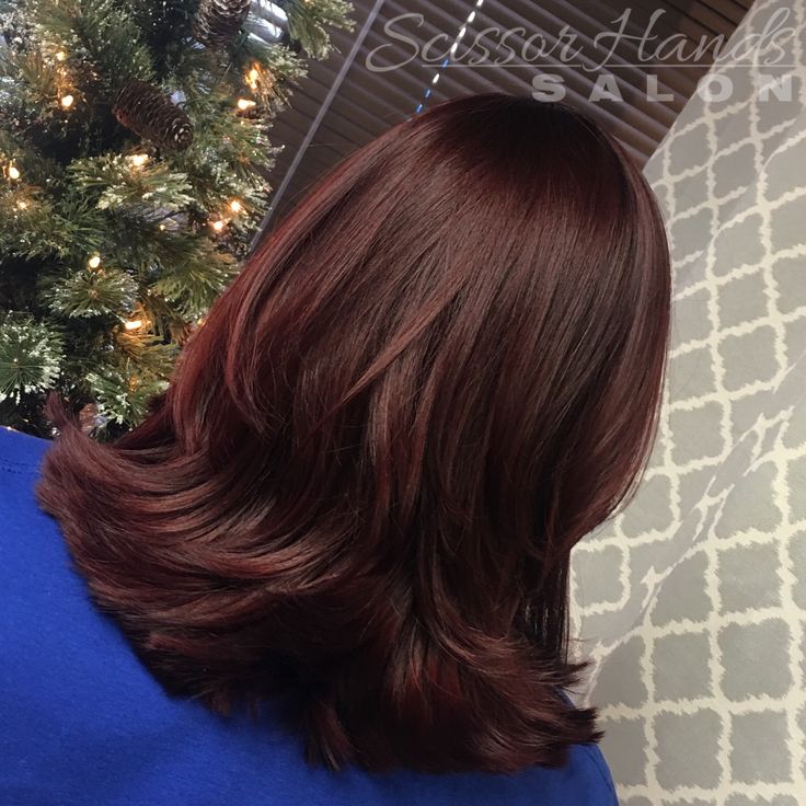 Deep, rich, chocolate-cherry hair color. Chocolate Cherry Highlights, Hair Color Chocolate Cherry, Cherry Highlights, Chocolate Cherry Hair Color, Summer Brown Hair, Hair Color Cherry Coke, Chocolate Cherry Hair, Highlights Brown Hair Short, Dark Chocolate Hair Color