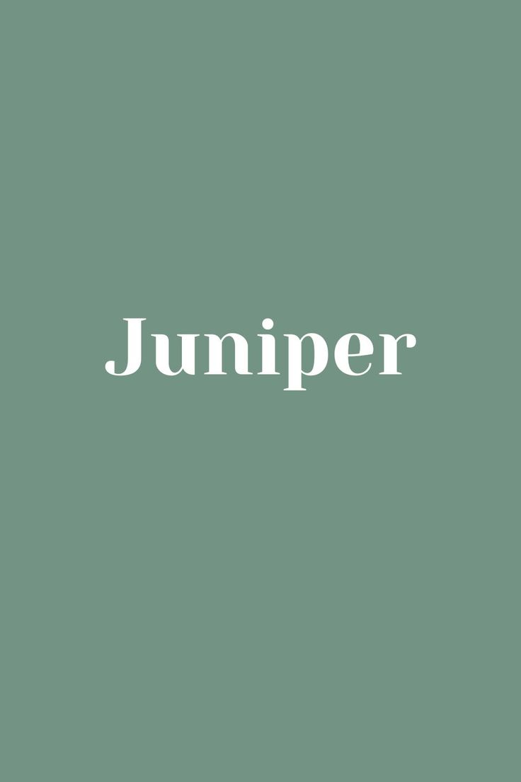 the word jumper written in white on a green background