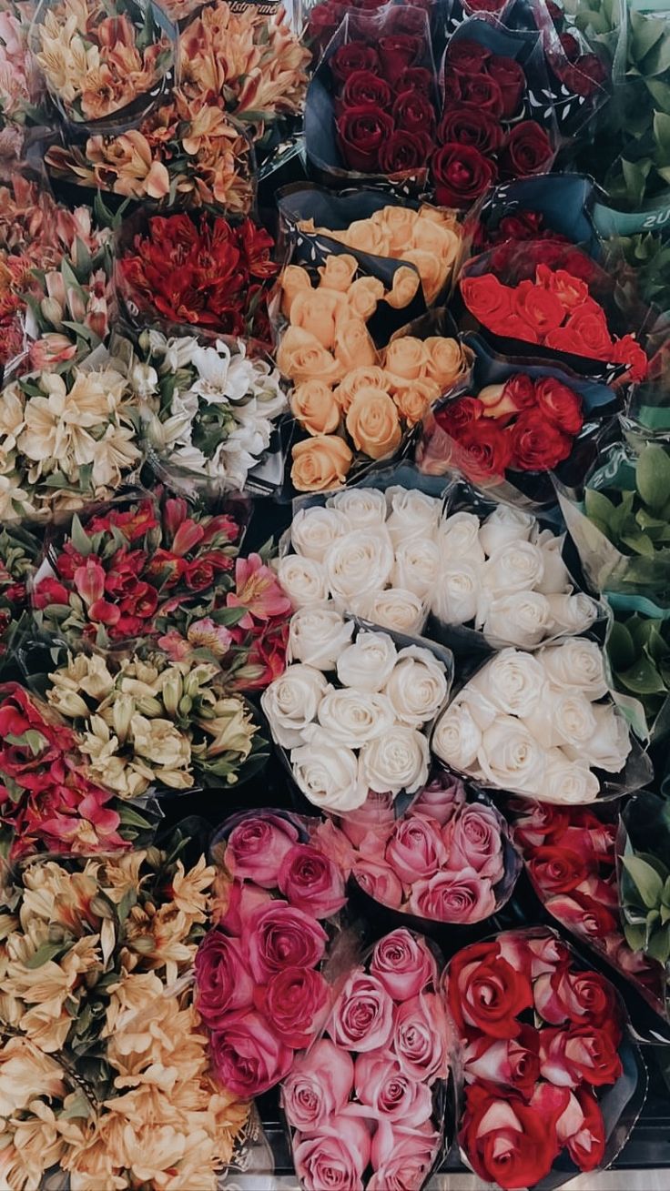 a bunch of flowers that are sitting on the ground in front of each other,