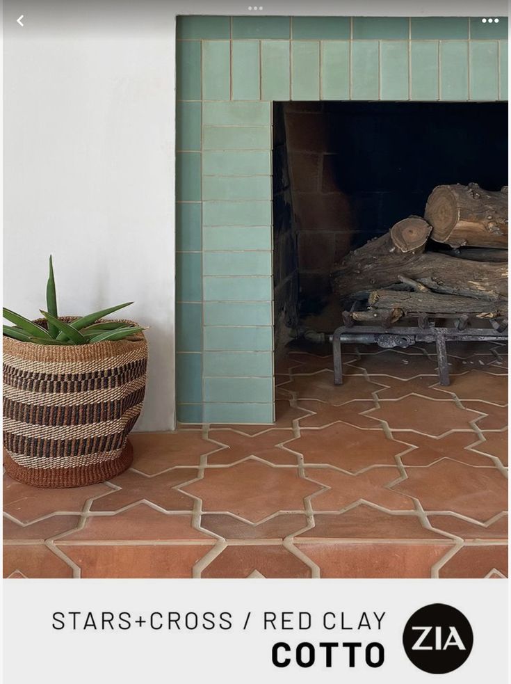 a fireplace with a potted plant next to it