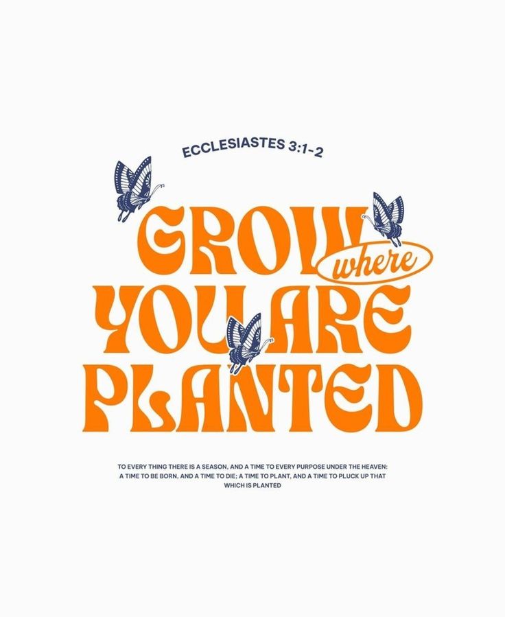 an orange and blue poster with the words grow where you are planted