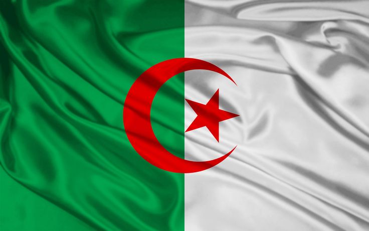 the flag of algerian and pakistan is waving in the wind with an interesting pattern on it