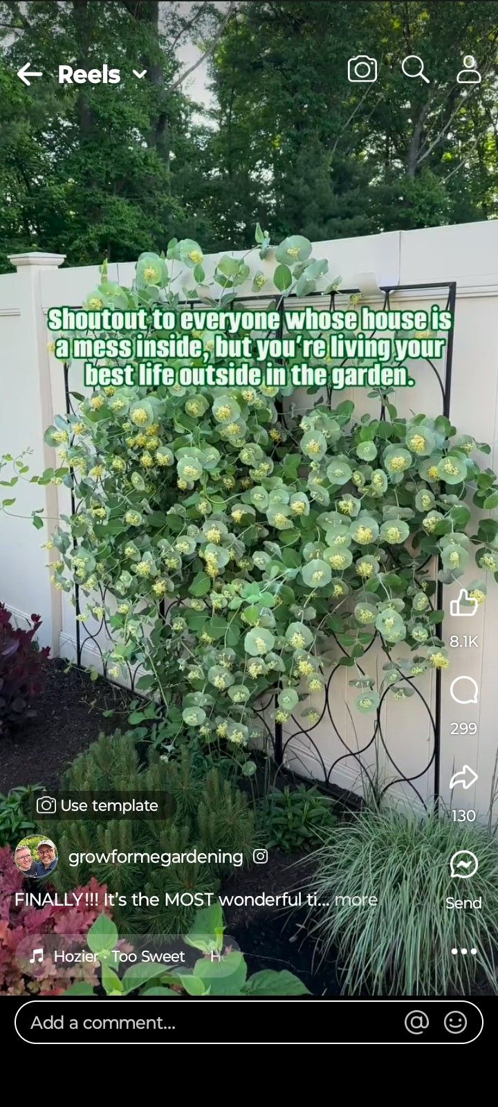 an image of a screen shot of a garden with the caption'shut to staying where those plants are, and not inside but outside if you '