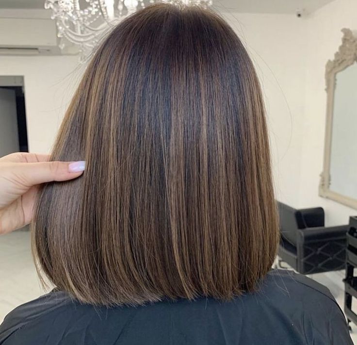 Short Hair Highlights, Dark Hair With Highlights, Hair Color Light Brown, Brown Hair Balayage, Light Hair Color, Shot Hair Styles, Short Hair Balayage, Hair Color Balayage, Hair Inspiration Color