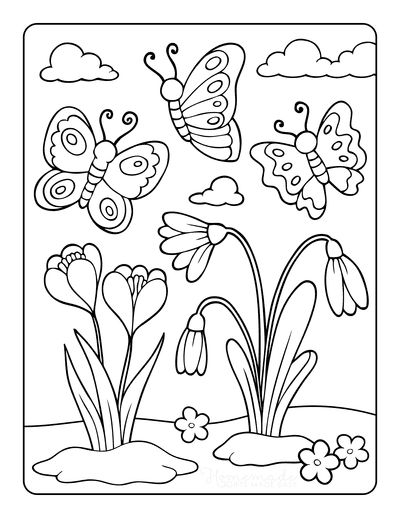 a coloring book with butterflies and flowers