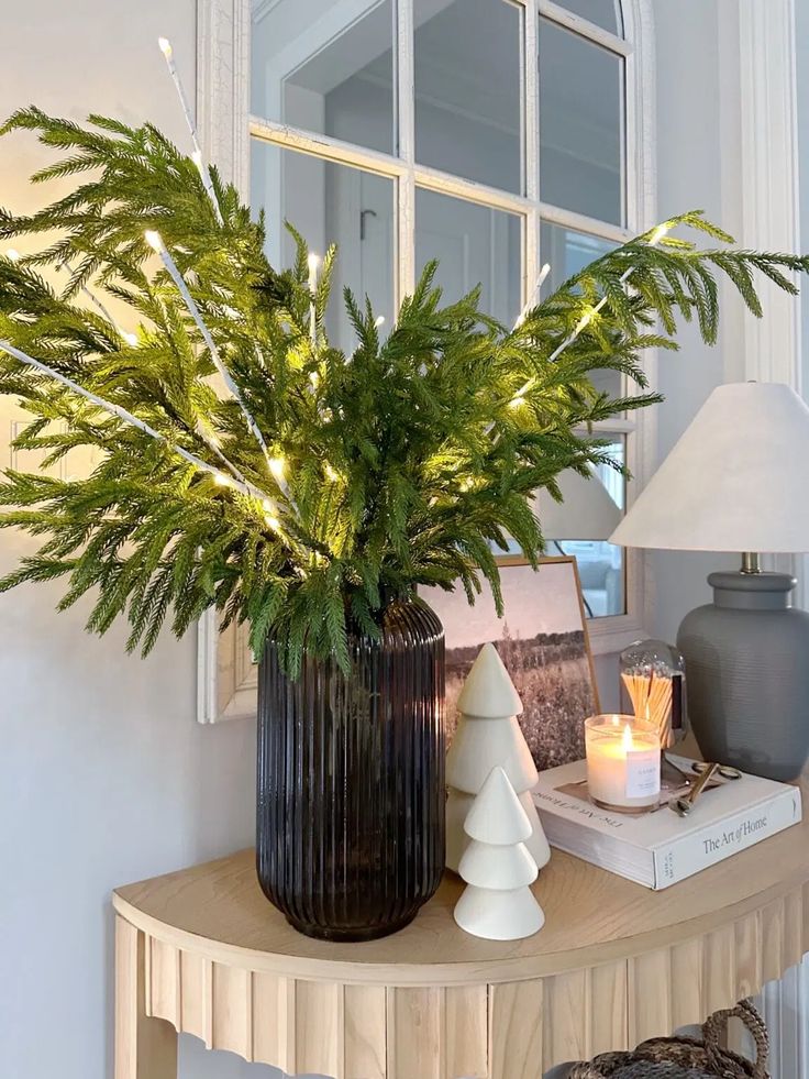 a potted plant sitting on top of a table next to a lamp and books