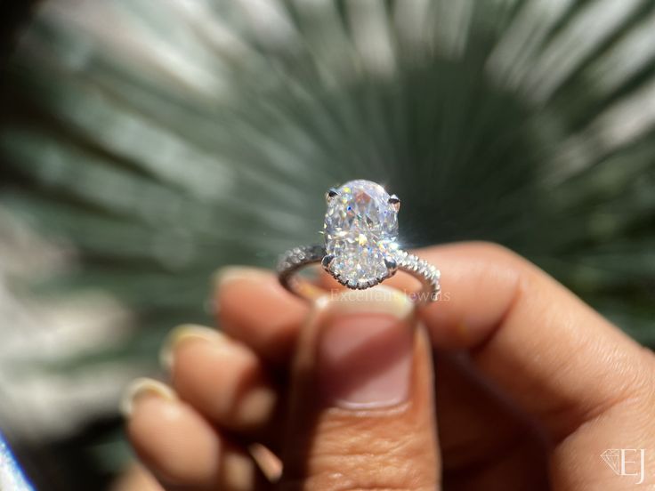 a person holding a diamond ring in their left hand and palm tree behind them with blurry background