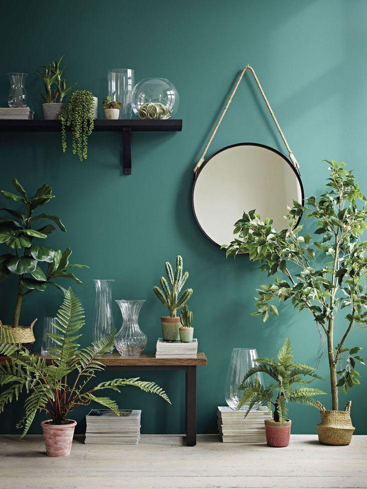 a room with green walls and potted plants on the shelf, along with a round mirror