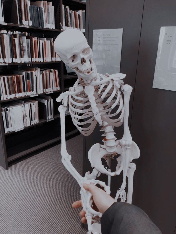 a human skeleton being held in front of a bookcase