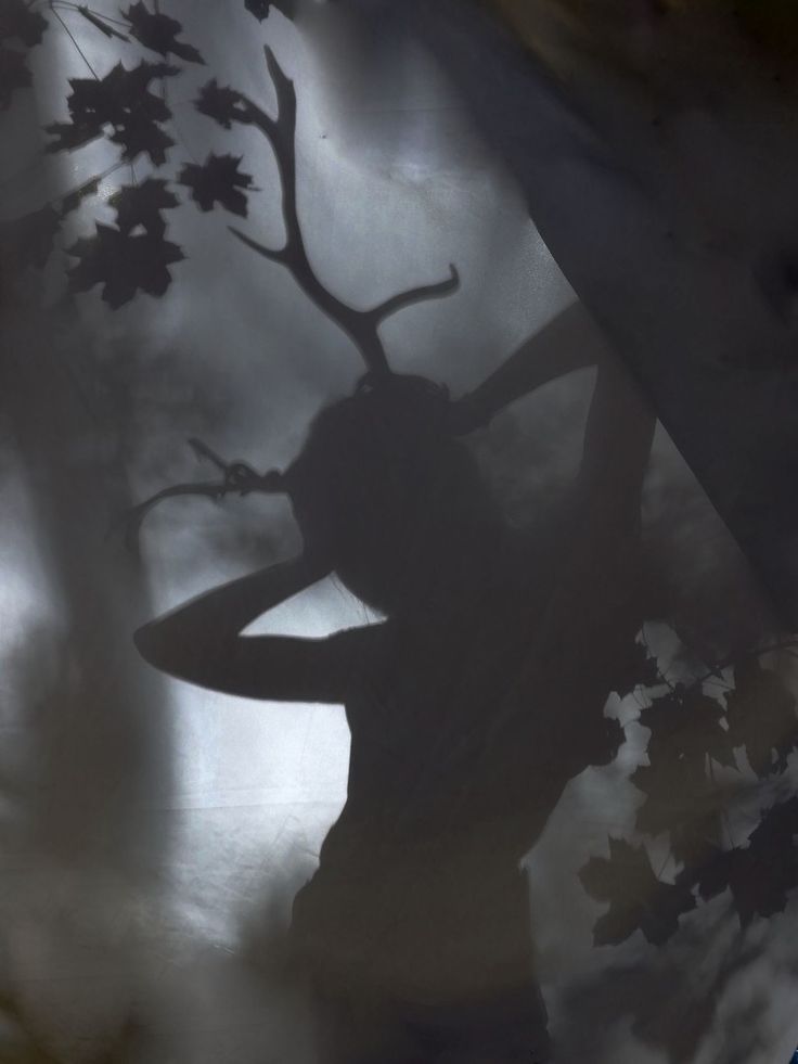 the silhouette of a woman with an antelope on her head