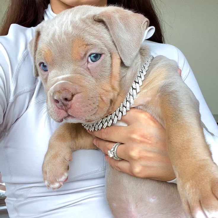 a woman holding a puppy in her arms and wearing a chain around it's neck