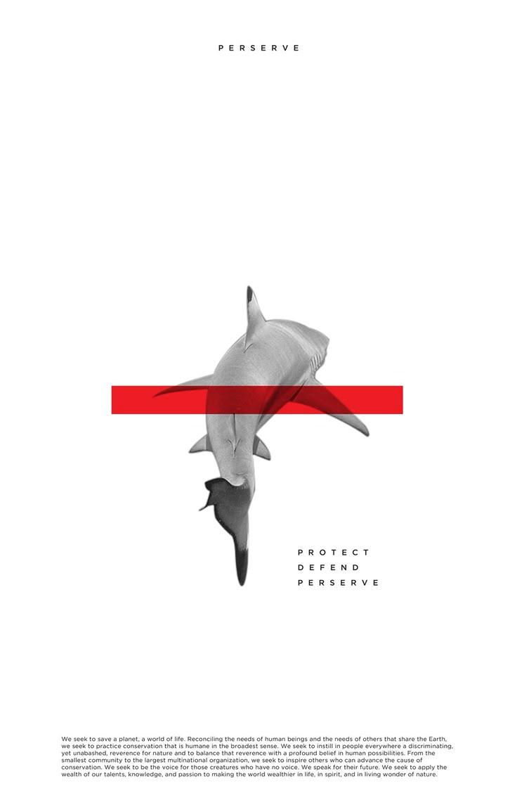 a white and red poster with a shark on it's side, in the middle of an abstract design