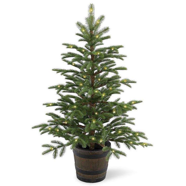 a small christmas tree in a pot on a white background