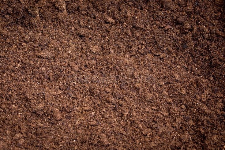 the texture of dirt is brown in color