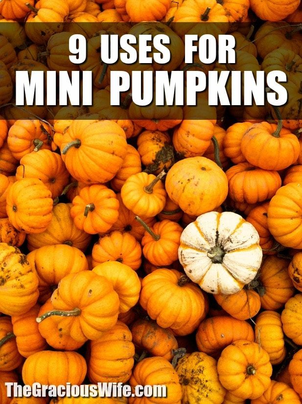 pumpkins with the title 9 uses for mini pumpkins