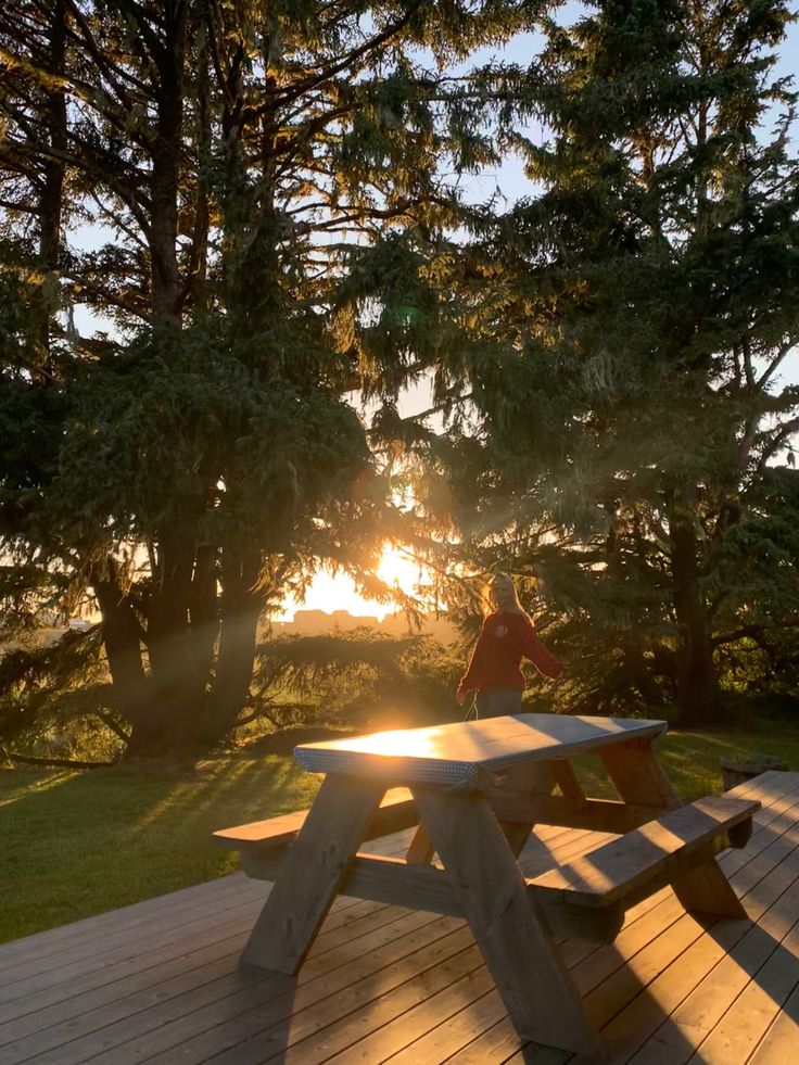 a person sitting at a picnic table with the sun shining through trees in the background