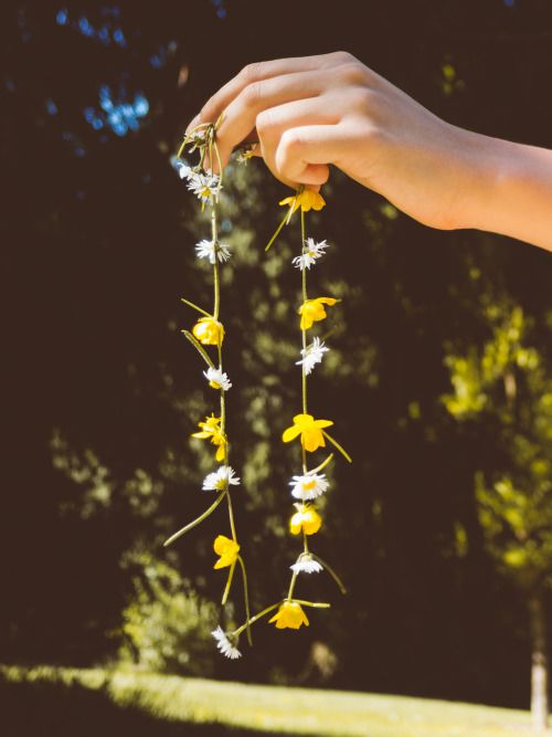 a person is holding flowers in their hand