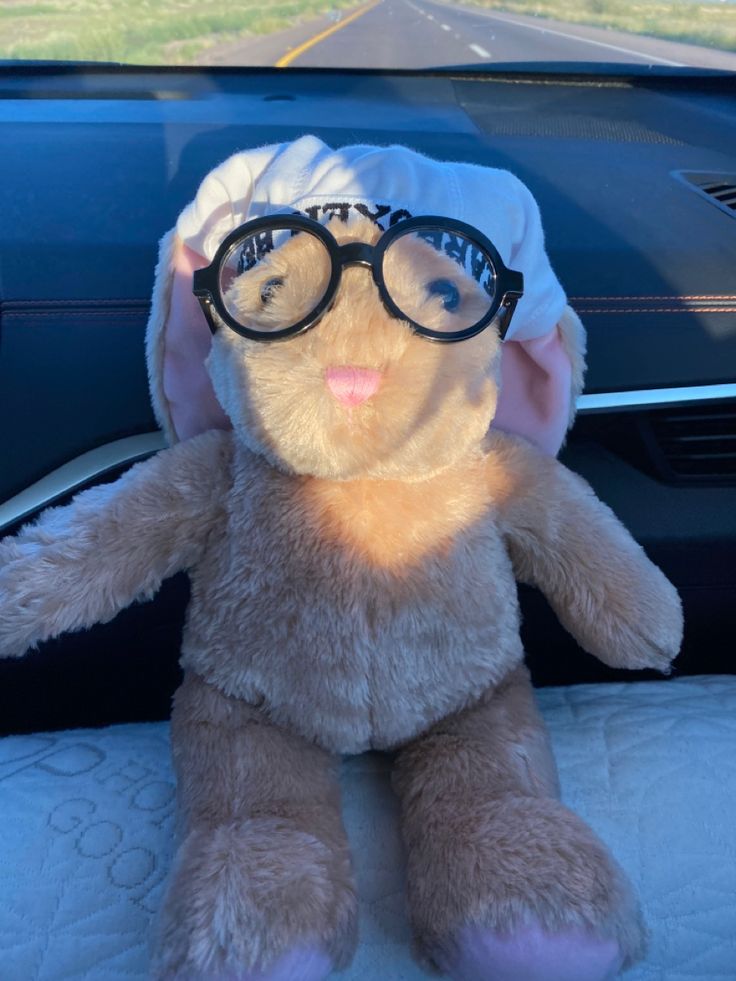 a teddy bear wearing glasses sitting in the back seat of a car