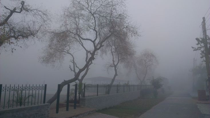 a foggy street with trees and fence in the foreground