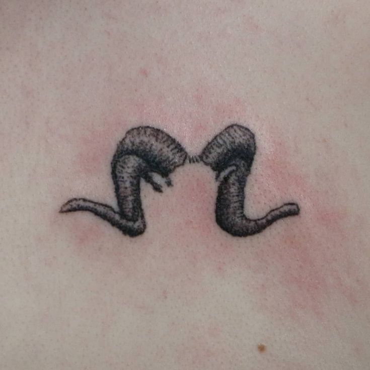 the back of a woman's chest with two snakes on it and one is facing each other