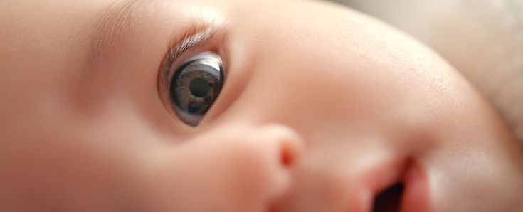 a baby's eye is seen in this close up photo