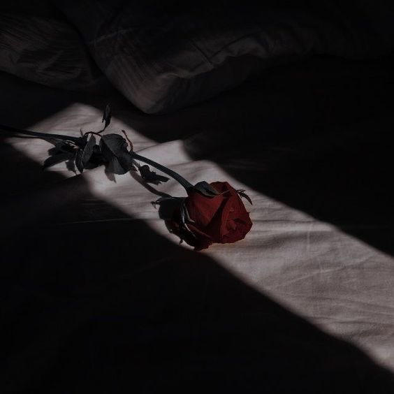 a red rose sitting on top of a bed next to a white sheet and pillow