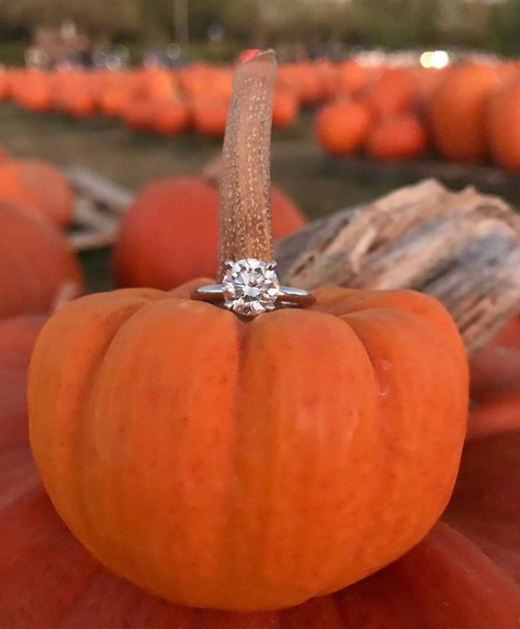 an orange pumpkin with a diamond ring on it