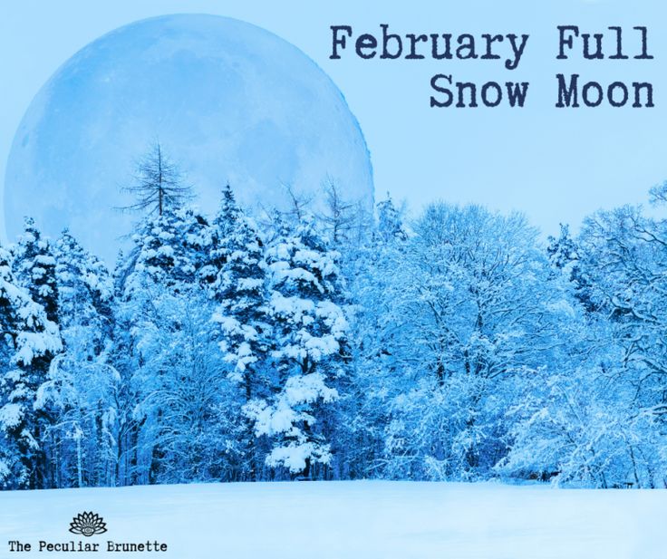 a full moon is in the sky above some trees and snow covered ground with text that reads, february full snow moon