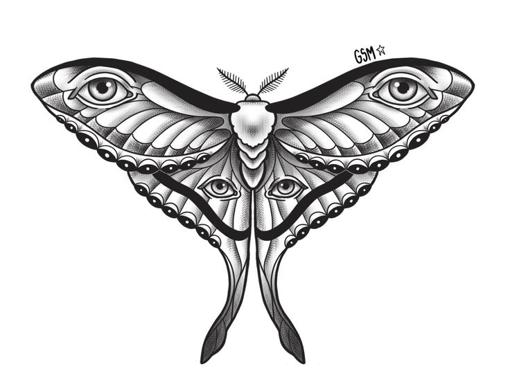 a drawing of a butterfly with an eye on it's back