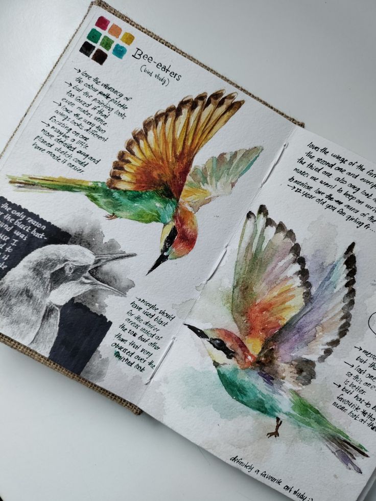 an open book with watercolors on it and birds flying over the pages,