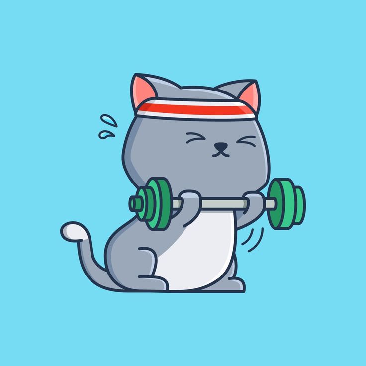 a cat with a barbell on its back