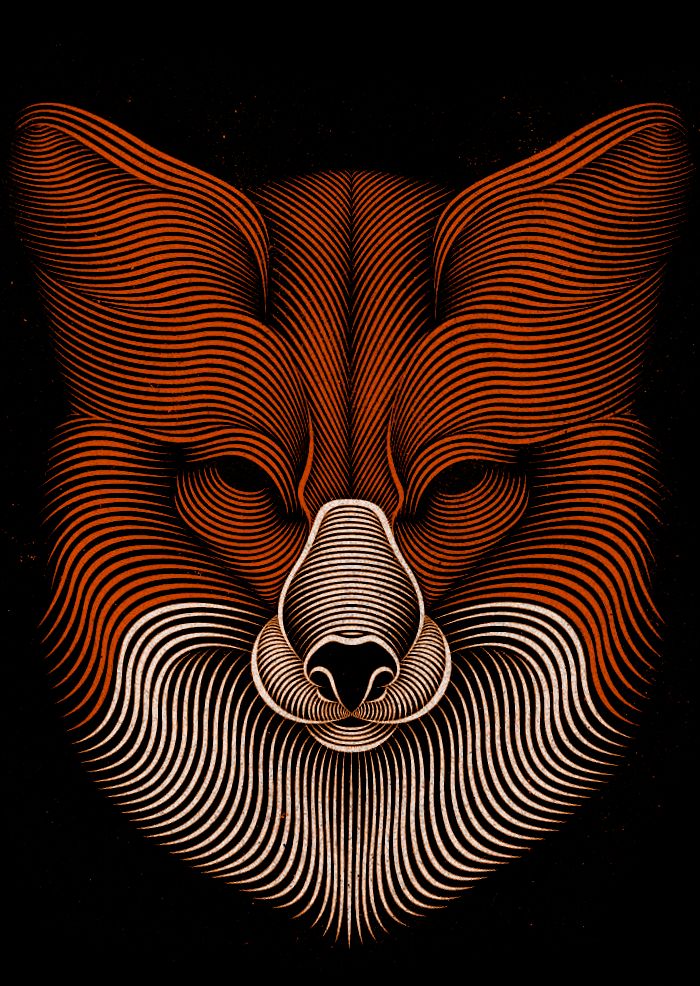 an orange and white drawing of a fox's face with wavy lines on it