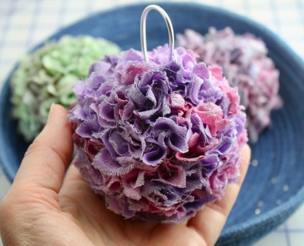 a hand holding a purple and green item on a blue plate