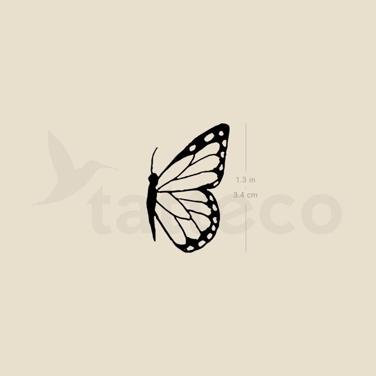 a black and white drawing of a butterfly on a beige background with the word tattoo written below it